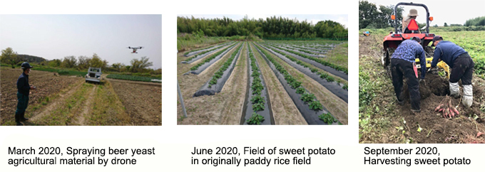 Revitalization of agriculture