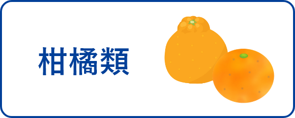 柑橘類