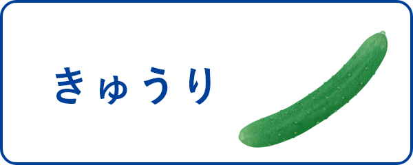 きゅうり