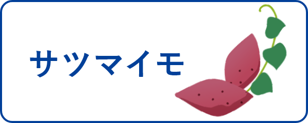 サツマイモ