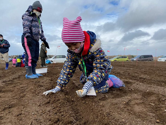 May 2021, Planting rice seeds