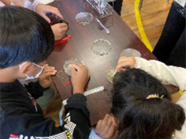 Environmental Outreach Classes