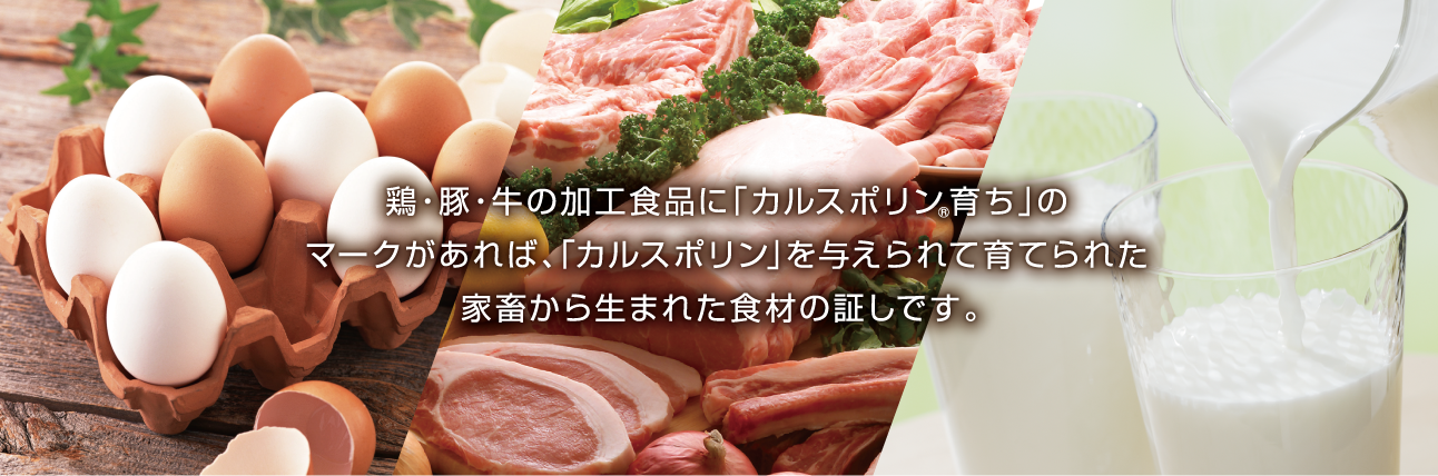 鶏・豚・牛の加工食品に「カルスポリン育ち」のマークがあれば、「カルスポリン」を与えられて育てられた家畜から生まれた食材の証しです。