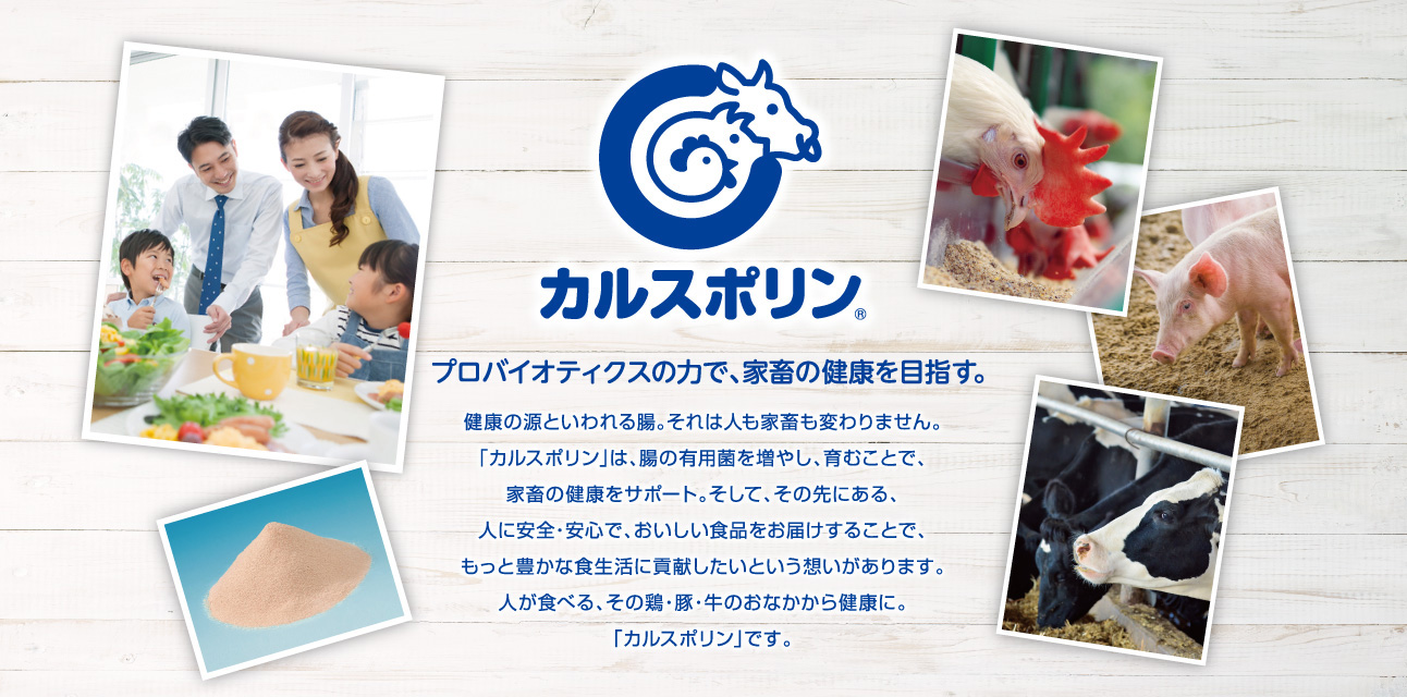 カルスポリン プロバイオティクスの力で、家畜の健康を目指す。