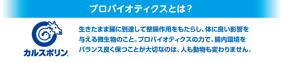 プロバイオティクスとは？
